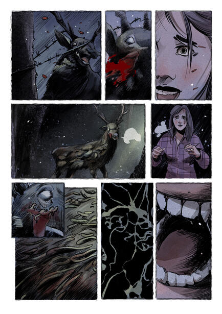 Illustrazione Calamari